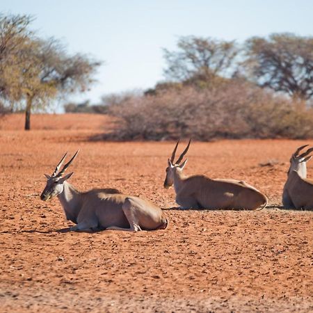 Kalahari Anib Campsite Hardap Zewnętrze zdjęcie